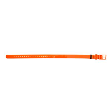 Colar Cão Eurohunt Hp&G