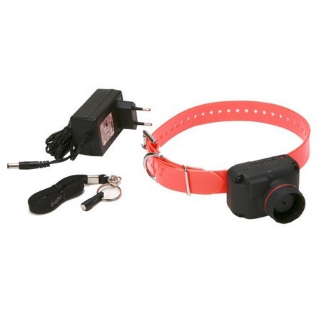 Colar De Rastreamento Dogtra Stb-H - Hawk-H (Son Faucon)