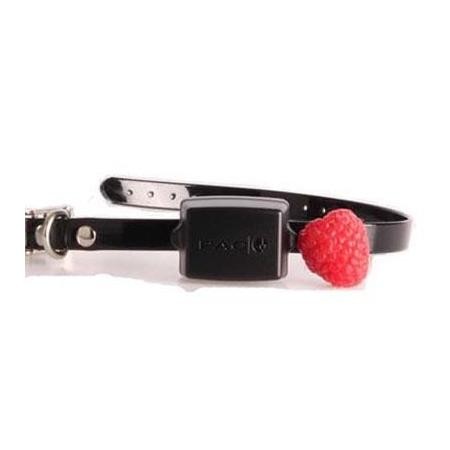 COLAR DE TREINO ADICIONAL PAC DOG MINI PAC EXC6 + CHARGEUR