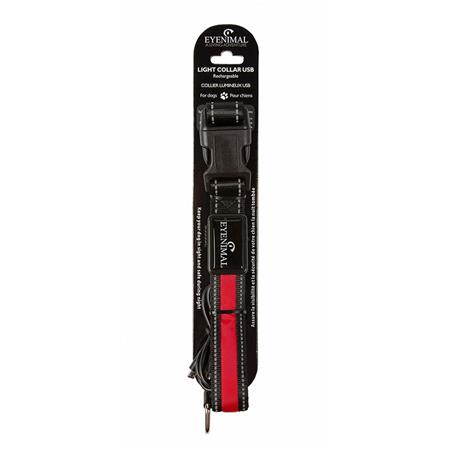 COLAR EYENIMAL LUMINEUSE UB RECHARGEABLE