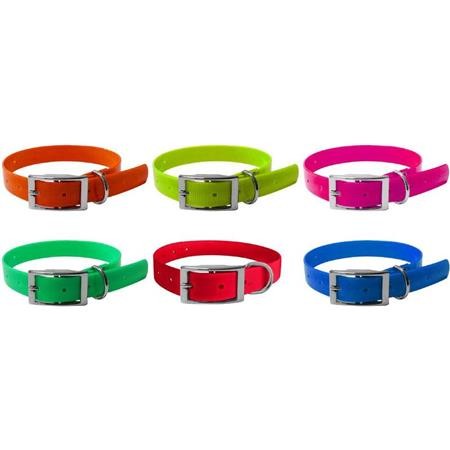 Coleira Cão Hb Dog Biothane
