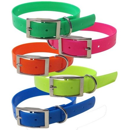 Coleira Cão Hb Dog Fluo Biothane Biogold
