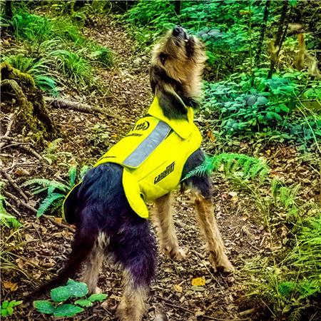 COLETE DE PROTEÇÃO CANIHUNT DOG ARMOR PRO CANO AMARELO