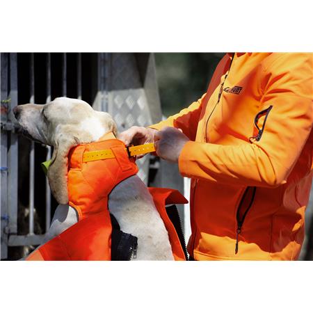 COLETE DE PROTEÇÃO CANIHUNT PROTECT PRO