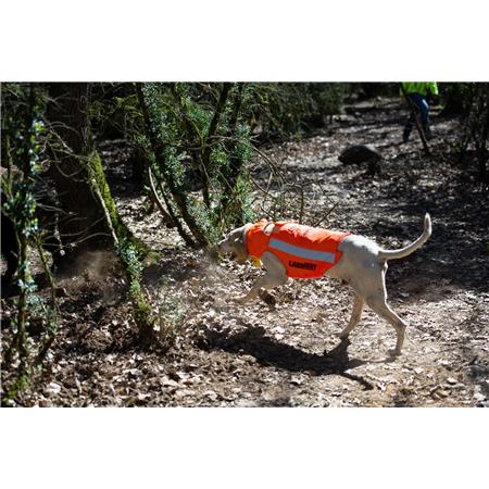 COLETE DE PROTEÇÃO CANIHUNT PROTECT PRO