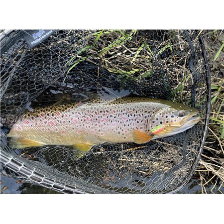 COLHER ROTATIVA STUCKI FISHING BRAUEN PEARL 2 - 6G