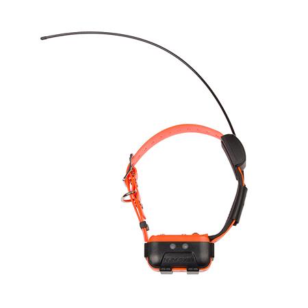 COLLAR ADICIONAL NUMAXES CANICOM GPS 2