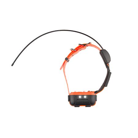 COLLAR ADICIONAL NUMAXES CANICOM GPS 2
