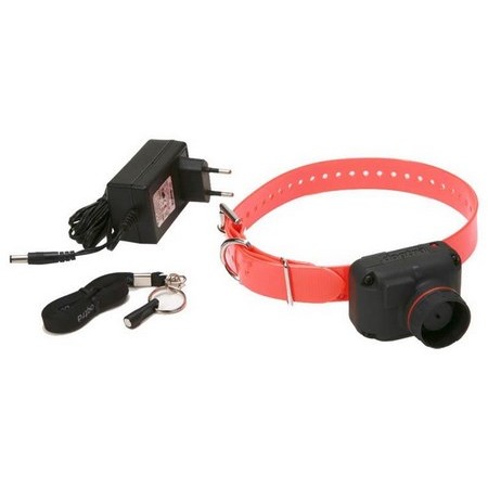 Collar De Localización Dogtra Stb Beep-L