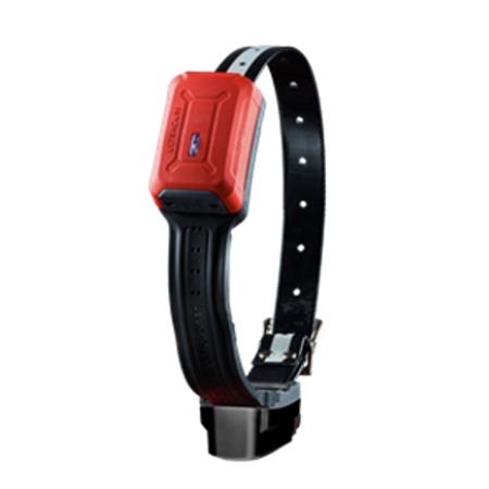 COLLAR GPS TRACKER R10I 4G IOT/2G