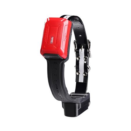 COLLAR GPS TRACKER R10I 4G IOT/2G