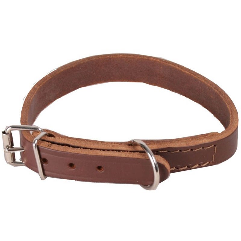 Correas, arneses y collares para perros Toma las medidas de tu perro. El collar debe quedarle bien a tu perro para que funcione de manera eficaz. Lo primero que debes hacer para cerciorarte de fabricar un collar del tamaño adecuado es medir el cuello de tu perro.
