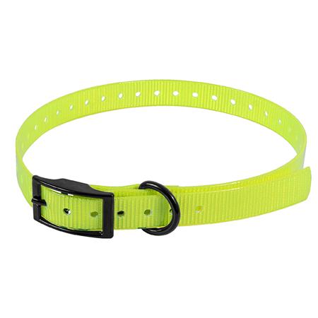 Collar Perro Hb Dog