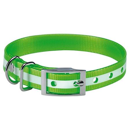 Collar Perro Stepland Phosphorescent - 60Cm