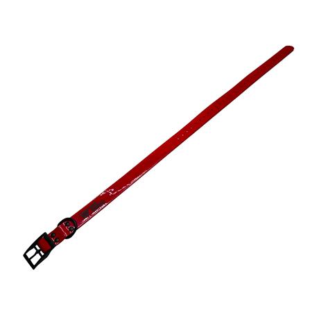 COLLAR PERRO WILD TRACKER X-PERT