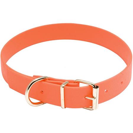 Collier Chien Country Biothane