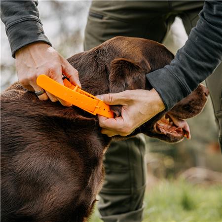 COLLIER CHIEN EUROHUNT HP&G