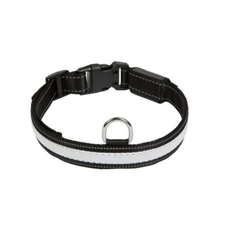 Collier Lumineux 3 Couleurs Rgb Light Collar - Eyenimal Eyenimal Rgb Light Collar