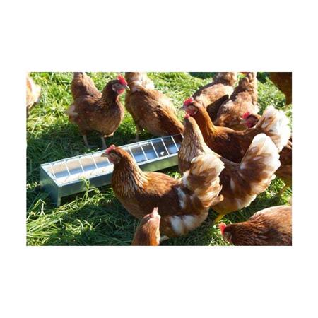 COMEDOURO GALVANIZADO KERBL POUR VOLAILLES