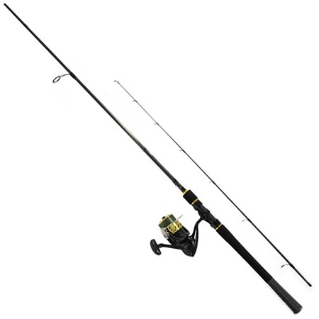 Conjunto Daiwa Strikeforce