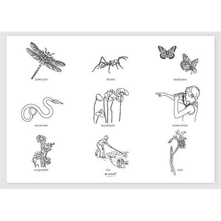 CONJUNTOS DE MESA BINGO COLLECTION NATURE