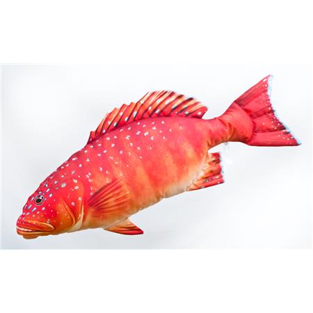 Coral Trout Cushion Gaby