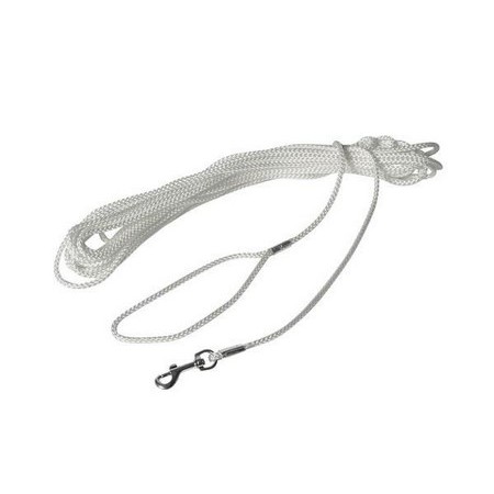Correa Cabestro Cordel Para Perro Nylon