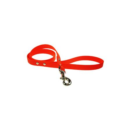 CORREA DE PERRO HB DOG BIOTHANE BETA