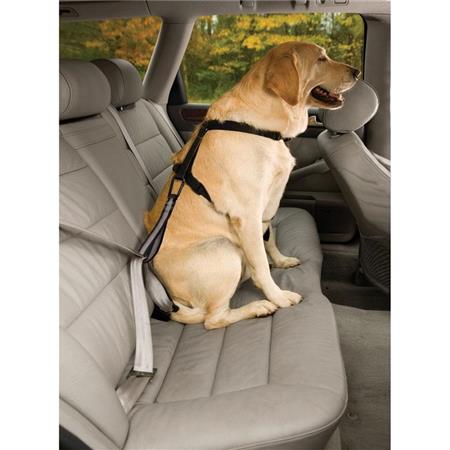 Correa De Protección Kurgo Seatbelt