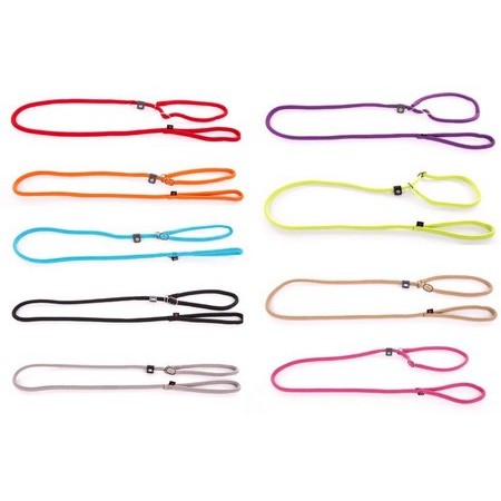 Correa Para Perro Con Collar Semi-Ahorcador Martin Sellier Con Collar