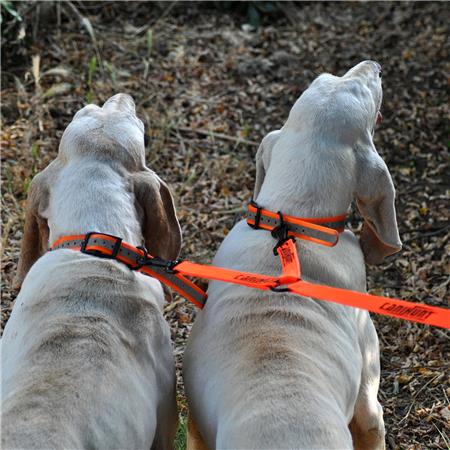 CORREAS DE ACOPLAMIENTO CANIHUNT HUNTER FIRST