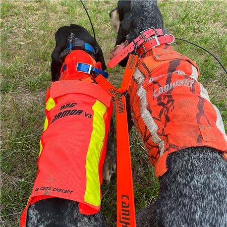 CORREAS DE ACOPLAMIENTO CANIHUNT HUNTER FIRST