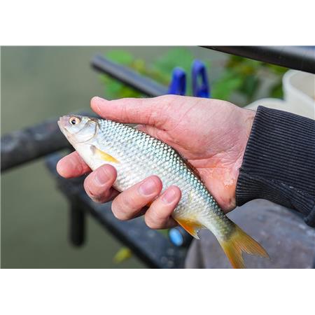 COUP-HENGEL MET INSTEEK CRESTA CENTURION COMPETITITON PRO S220