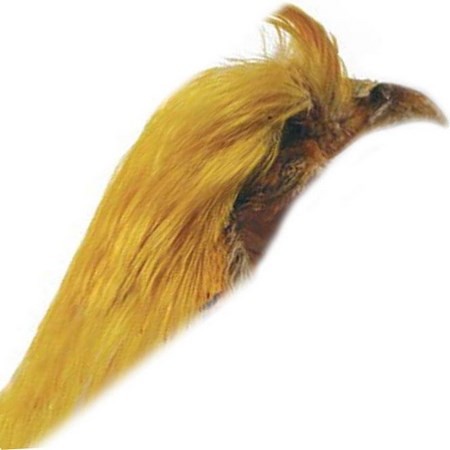 Crista De Faisão Dourado Tof