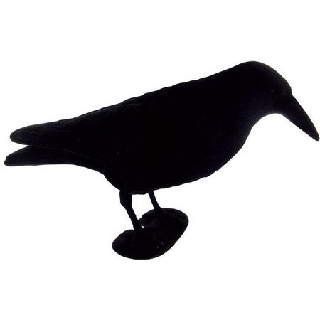 Crow Gmt Croasseur