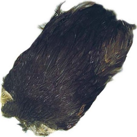Cuello De Gallina Tof