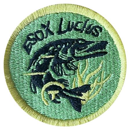 CUSTOMISED PATCH SUR VOS TRACES