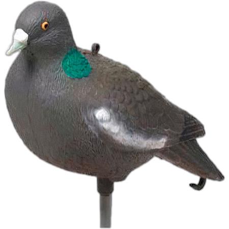 Decoy Fritzmann Pigeon
