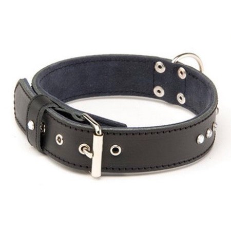 DOG COLLAR LEATHER ALTER EGO CLASS