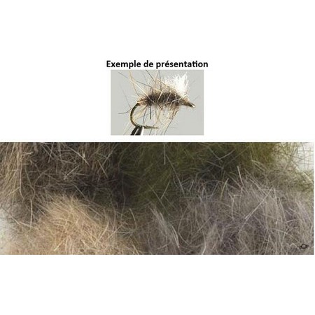 Dubbing Di Lepre Tof Lungo