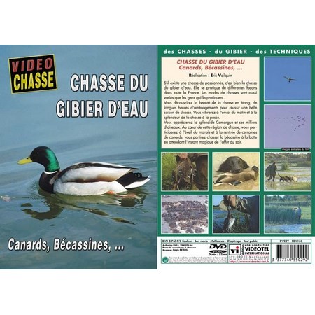 Dvd - Chasse Du Gibier D'eau : Canard, Bécassines  - Chasse Du Petit Gibier - Vidéo Chasse