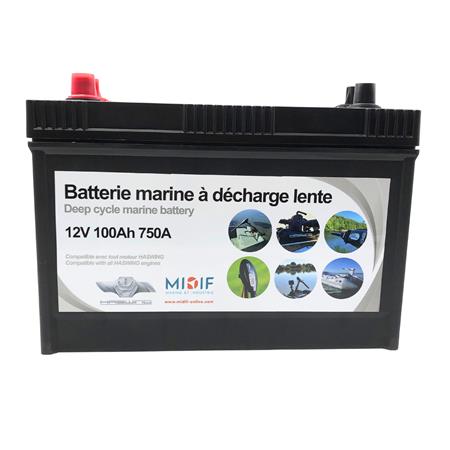 ENERGY PACK OSAPIAN 55 LBS HASWING WITH MARINE BATTERY 12V100AMP