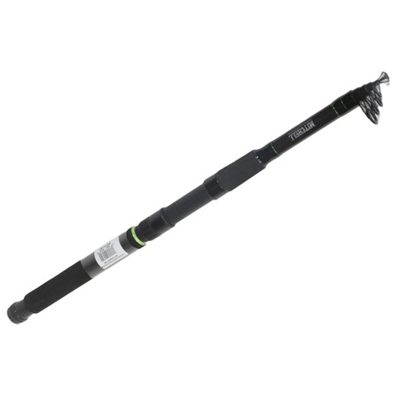 Ensemble Spinning Télescopique Mitchell Catch Pro Ii Telespin Combo - 1623115