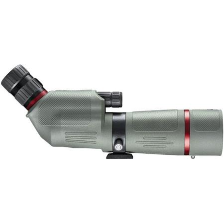 ERDBRILLE 20-60X65 BUSHNELL NITRO