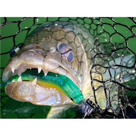 ESCA ARTIFICIALE MORBIDA STUCKI FISHING PREY ONE - 5.5CM - PACCHETTO DI 10