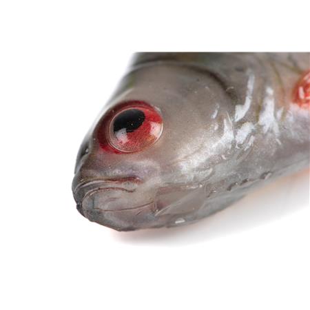 ESCA MORBIDA FOX RAGE ULTRA NATURAL ROACH