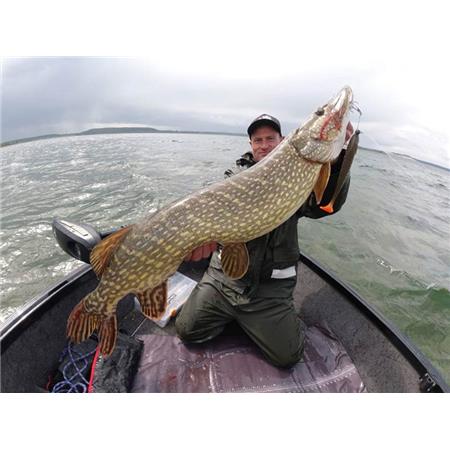 ESCA MORBIDA HOSTAGEVALLEY SHAD - 22CM