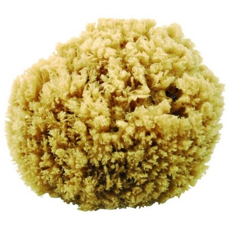 Esponja Natural Do Mar Euromarine