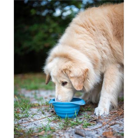 FALTBARE GAMELLE KURGO COLLAPS A BOWL