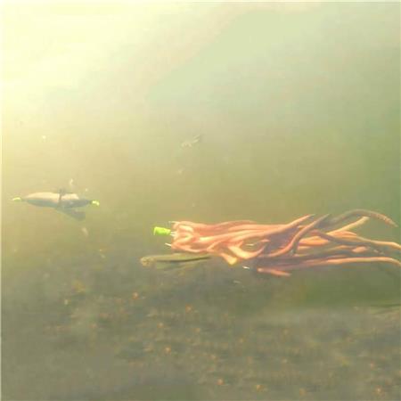 FLÅD ZECK PROPELLER U-FLOAT SOLID